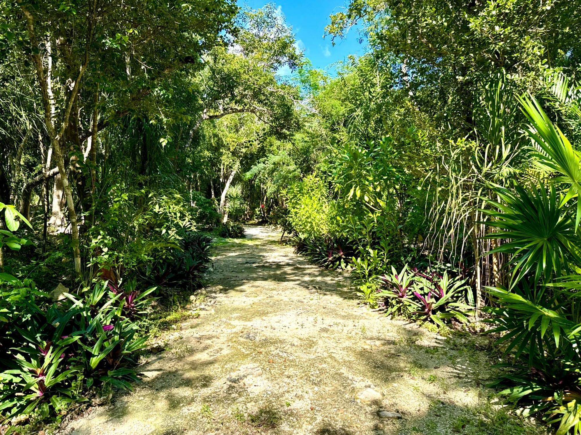 Hotel Glamping Bunga Lotus Tulum Exterior foto