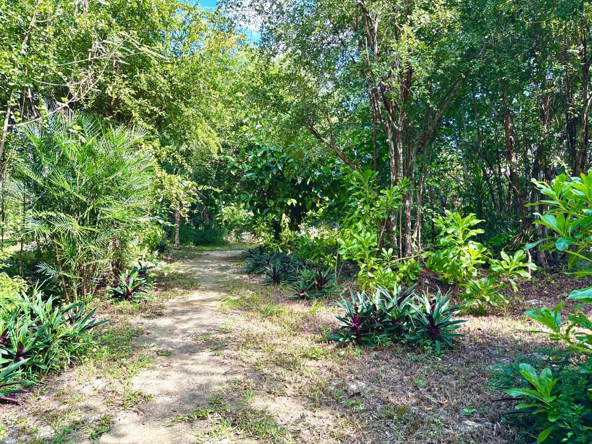 Hotel Glamping Bunga Lotus Tulum Exterior foto